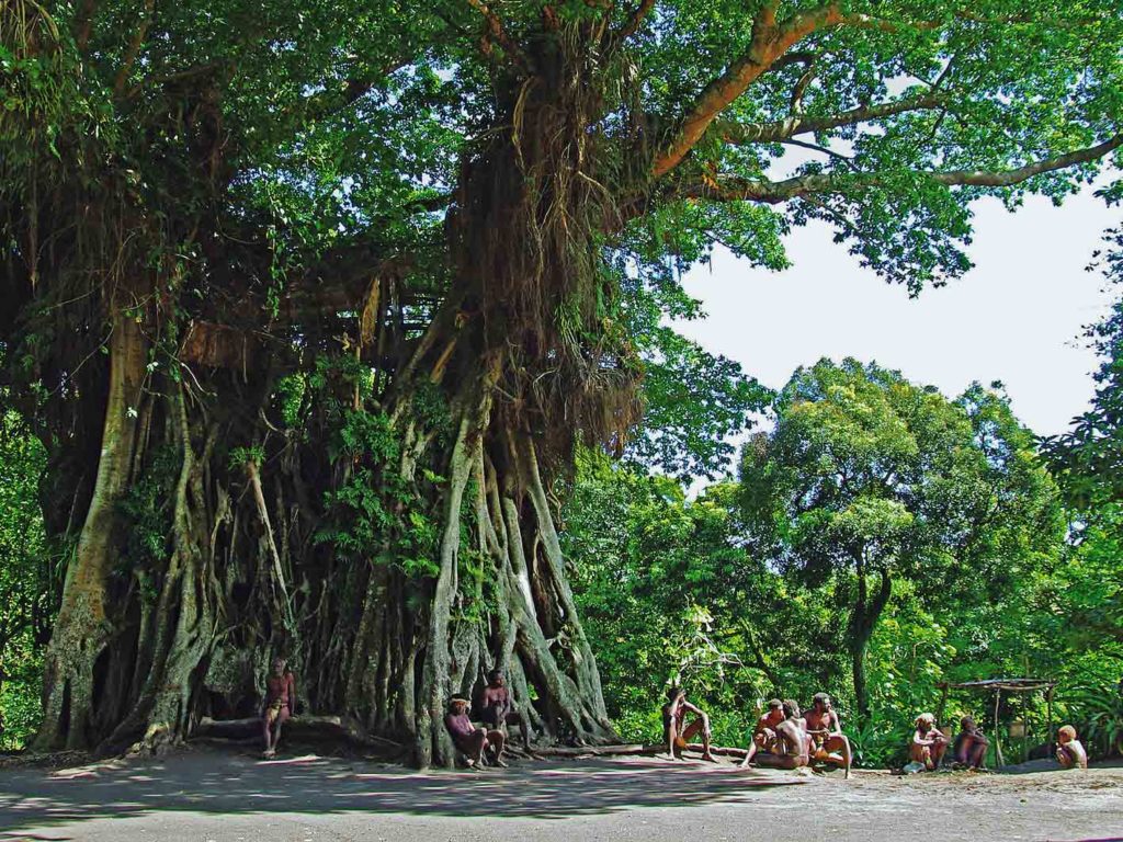 Im Schaten des Banyan Trees bei den Nambas auf Vanuatu