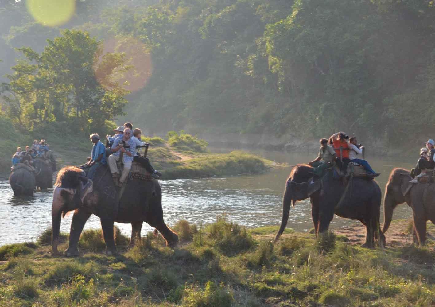 Sie gehen mit dem Elefant auf Pirsch im Chitwan-Nationalpark