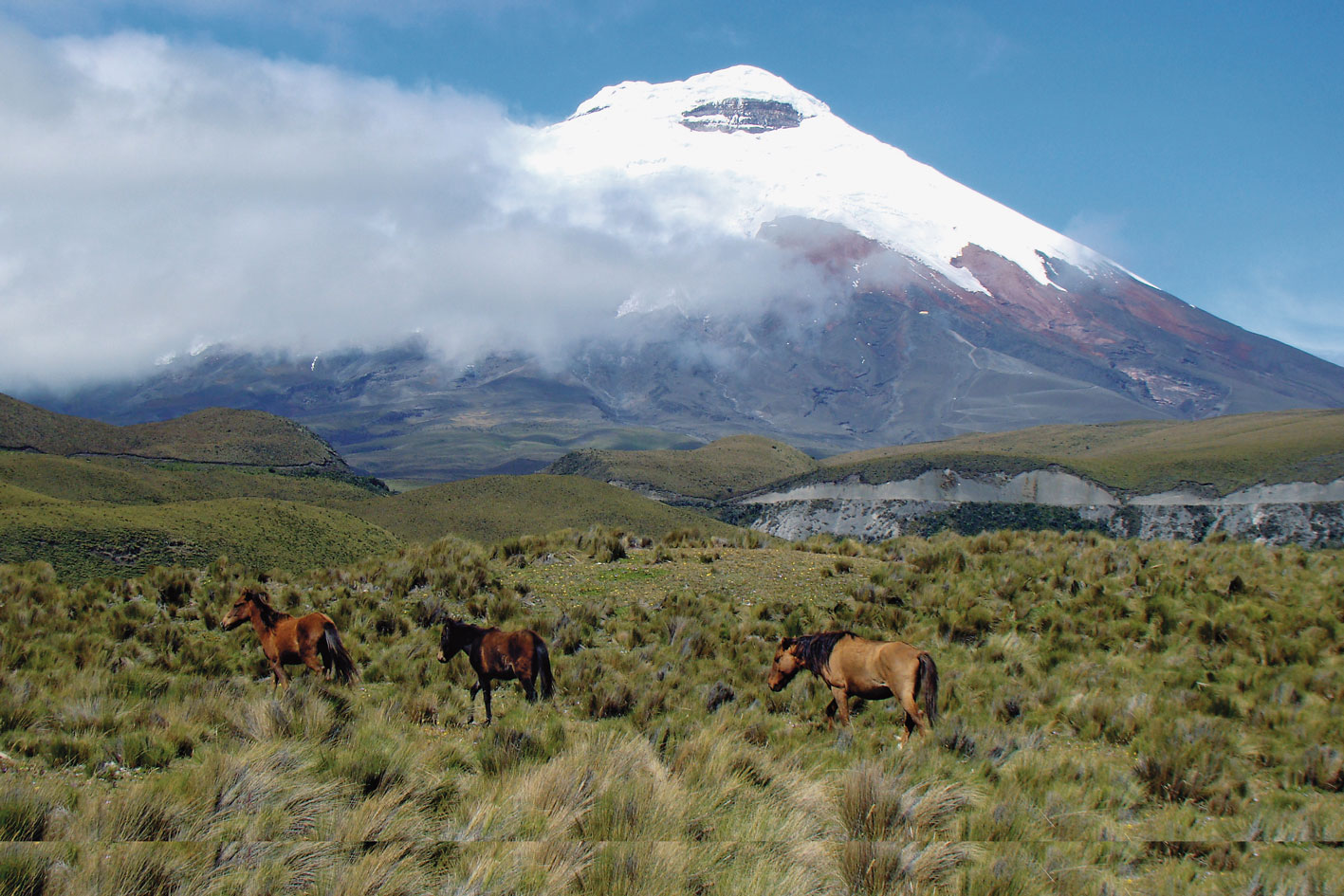 Hacienda Yanahurco - Wandern oder Reiten im Hochland
