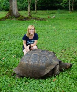 Riesenschildkröte auf Santa Cruz, Galápagos