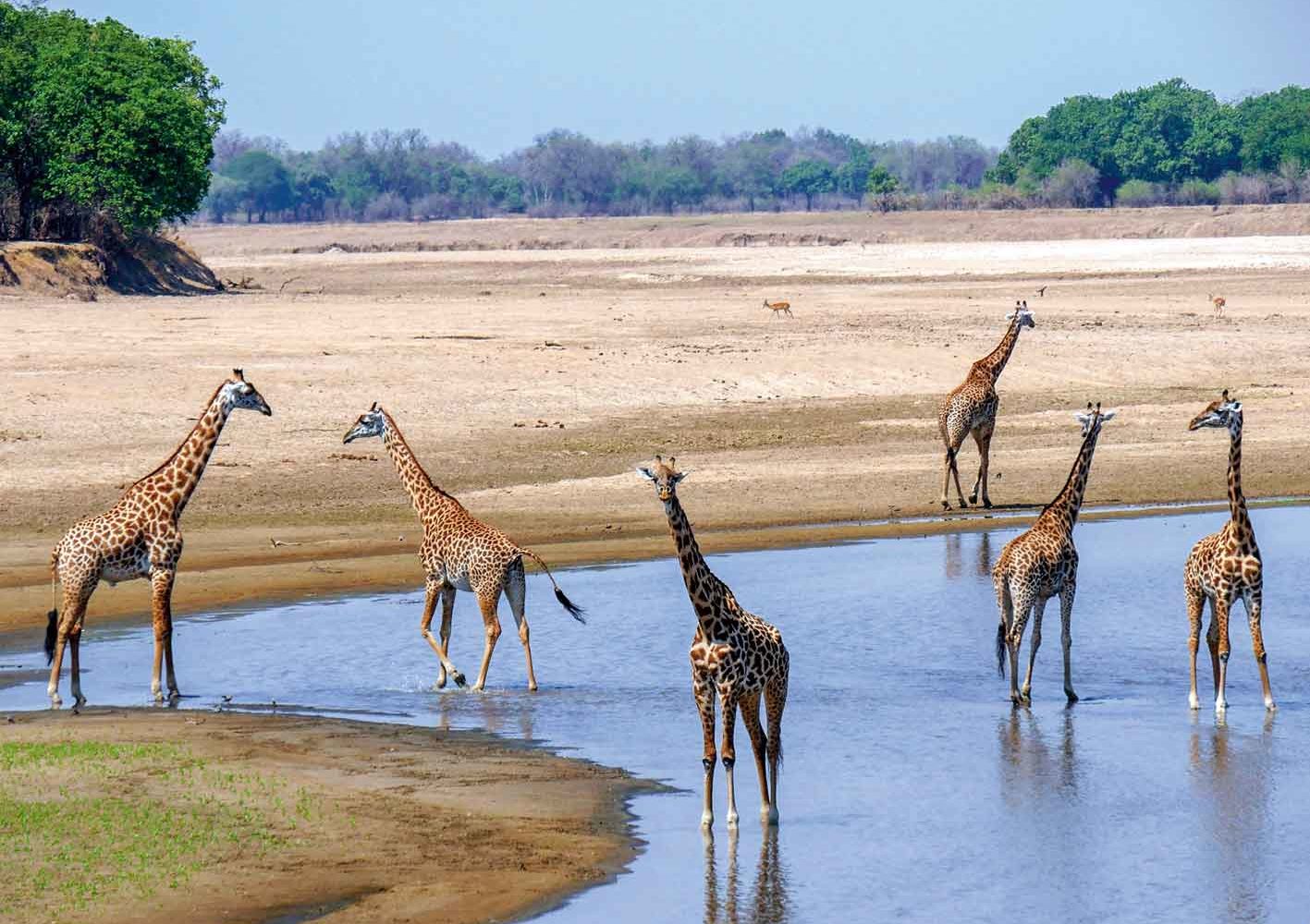 Rund um die Wasserlöcher treffen wir die meisten Tiere an, Zambia