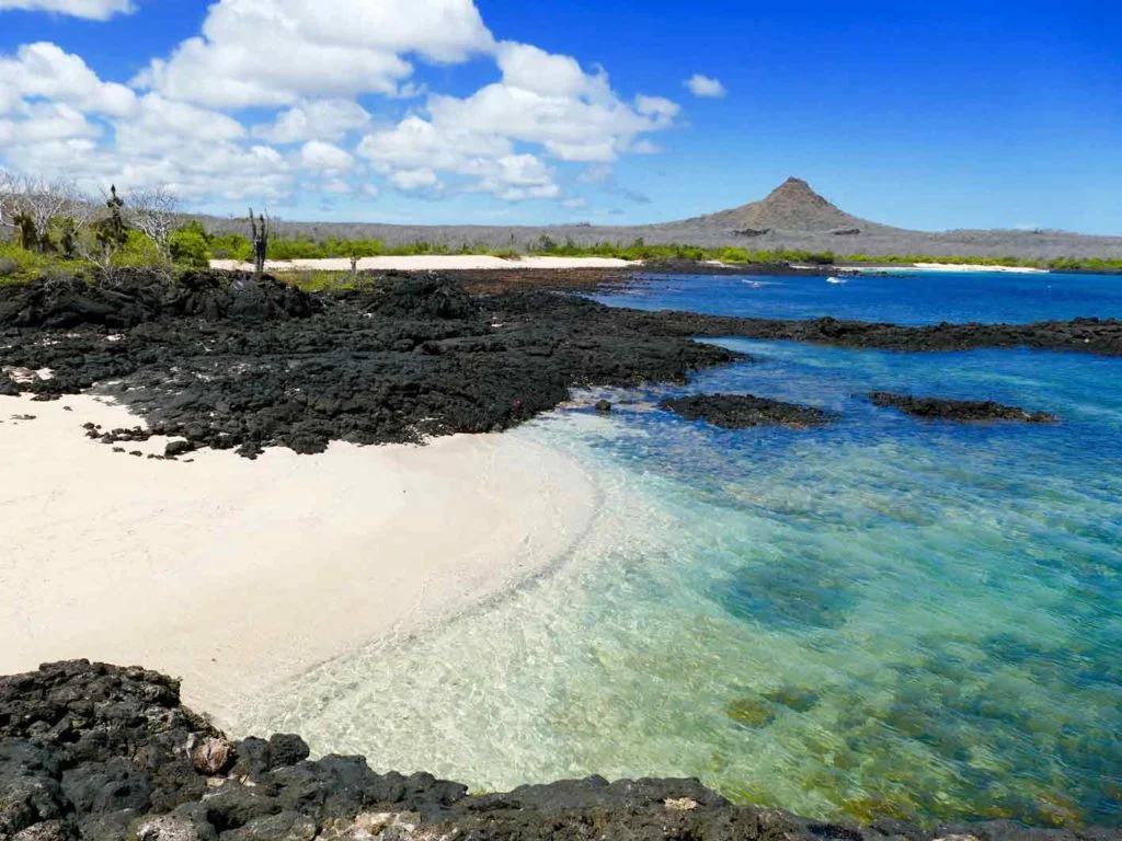 Die Landschaft von Galápagos ist geprägt von Vulkanen.