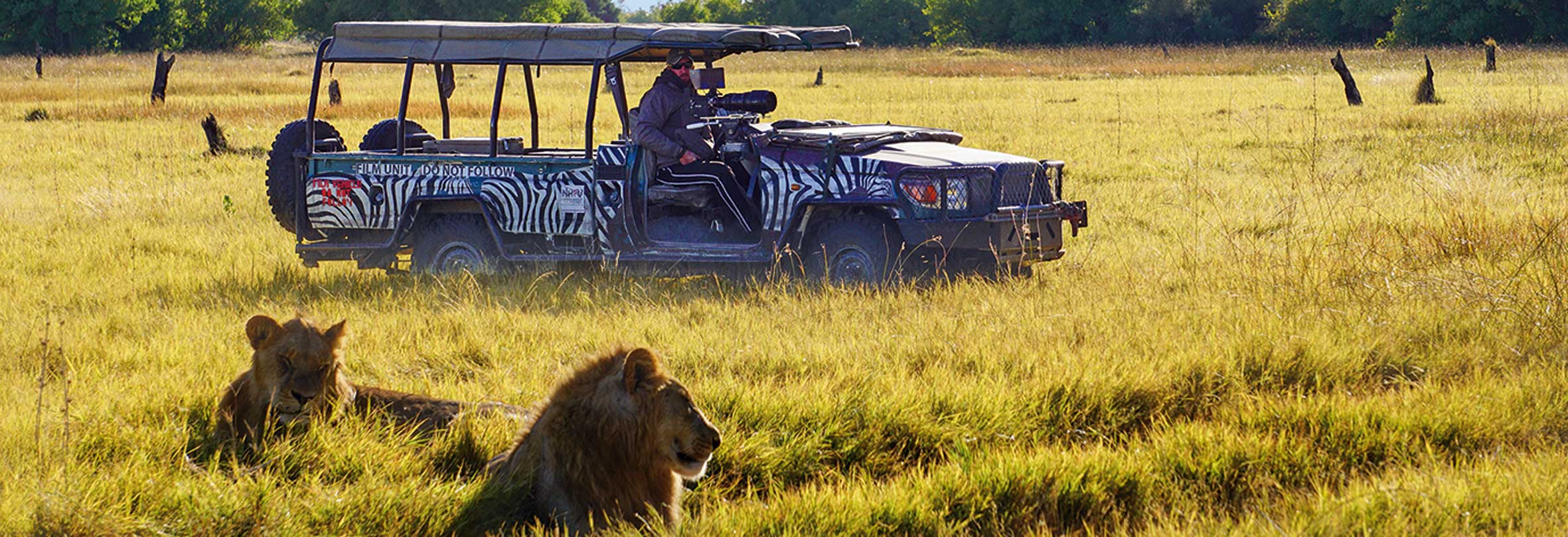 Botswana-Safari im 4x4-Fahrzeug