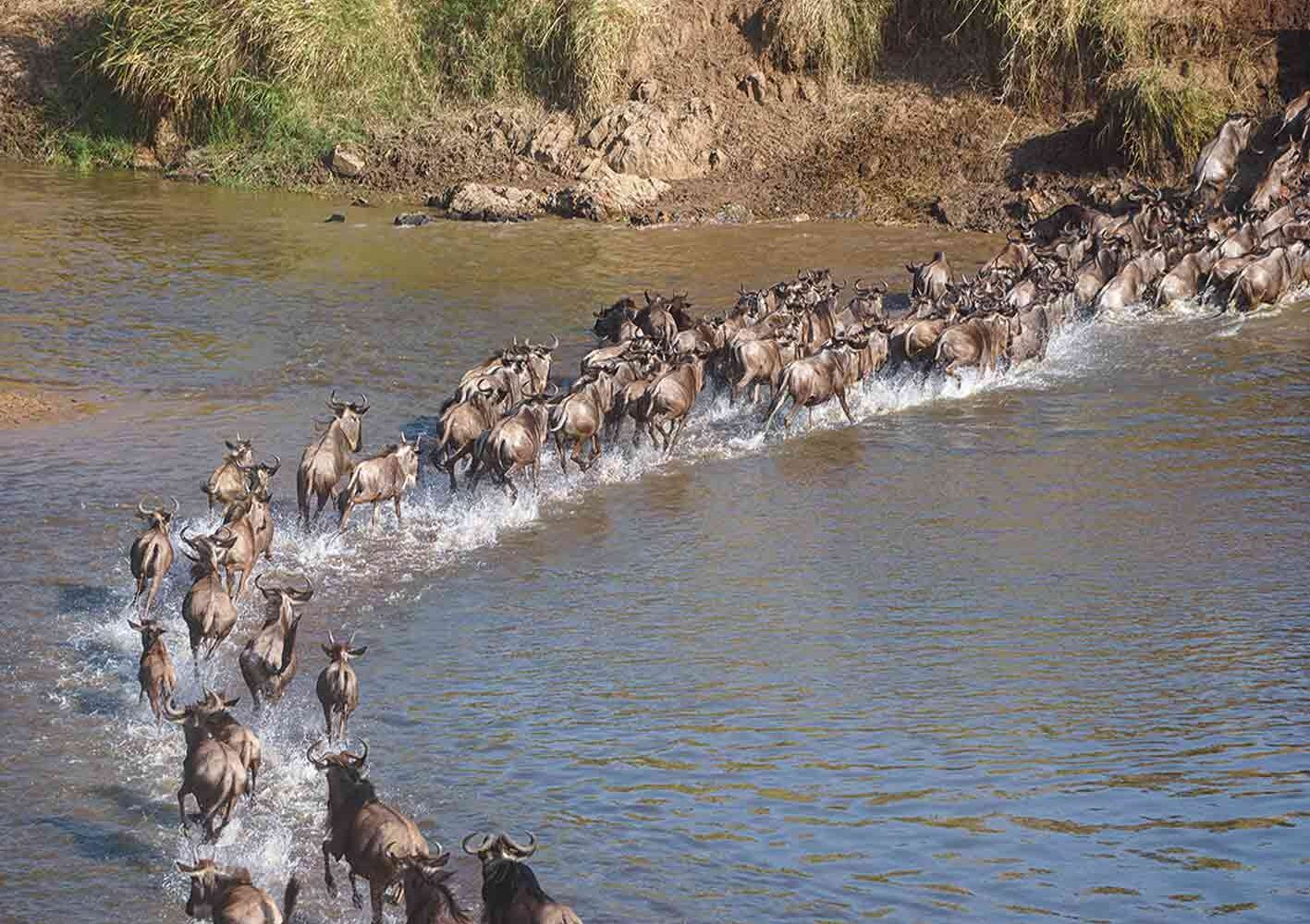 River-Crossing