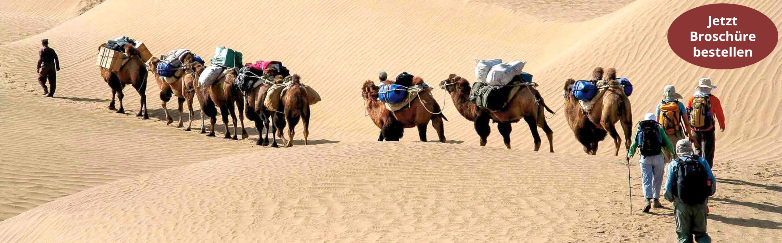 Auf dem Bild wird eine Karawane mit Kamelen und Reisenden dargestellt.